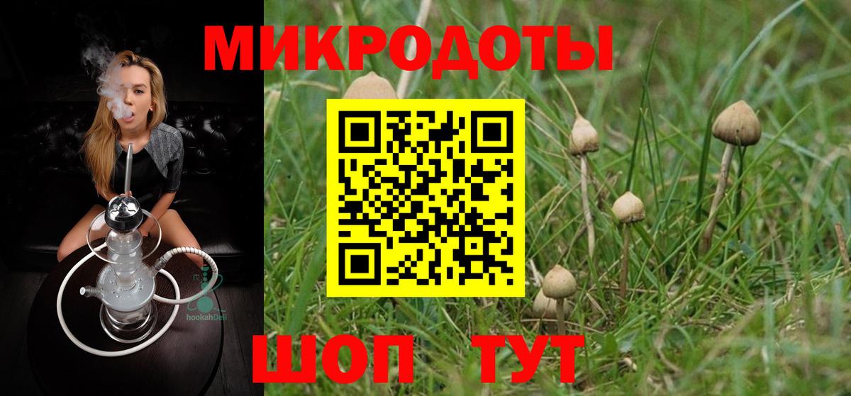 Псилоцибиновые грибы Psilocybe  Галлюциногенные грибы MAGIC MUSHROOMS  Кызыл  Вход с VPN 