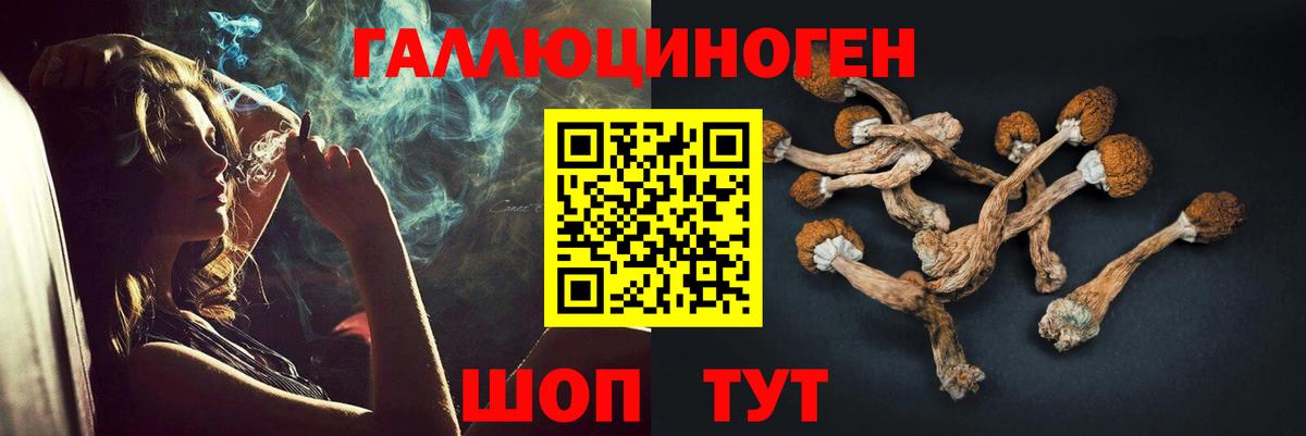 Галлюциногенные грибы GOLDEN TEACHER Кызыл